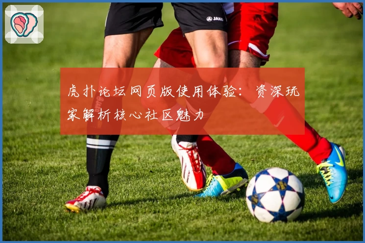 虎扑论坛网页版使用体验：资深玩家解析核心社区魅力