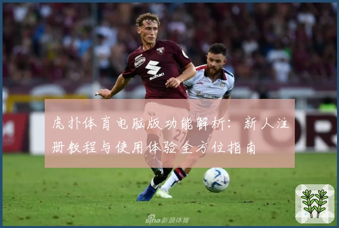 虎扑体育电脑版功能解析：新人注册教程与使用体验全方位指南