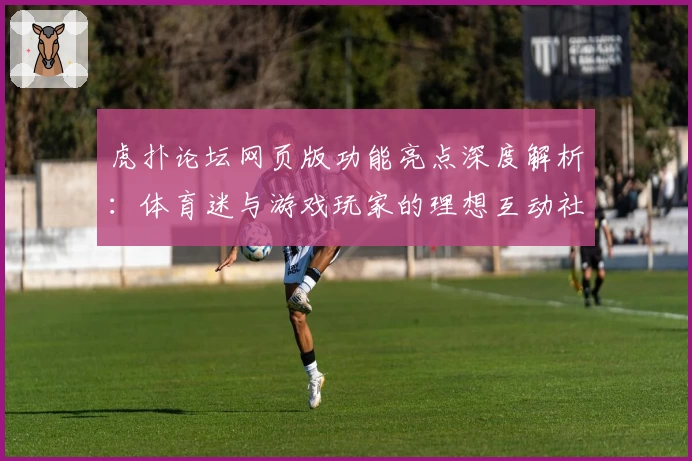 虎扑论坛网页版功能亮点深度解析：体育迷与游戏玩家的理想互动社区