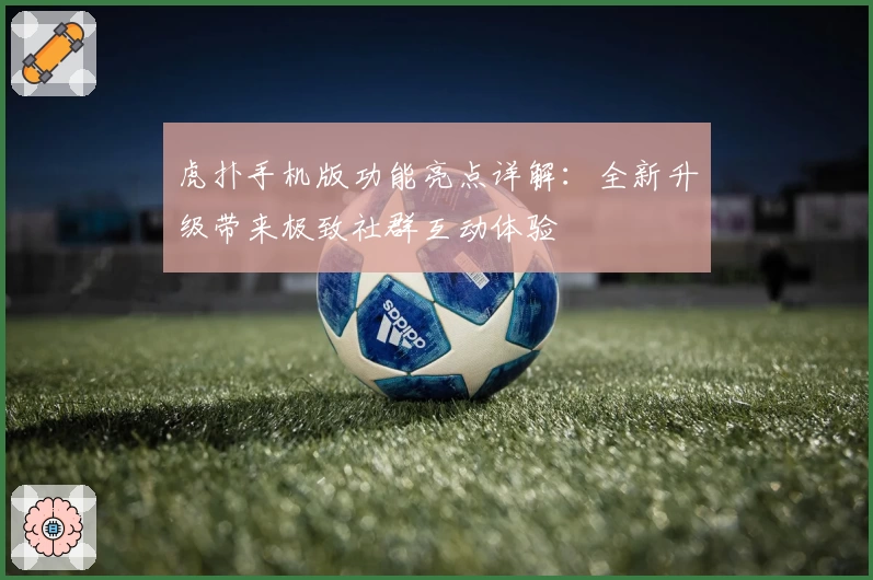 虎扑手机版功能亮点详解：全新升级带来极致社群互动体验